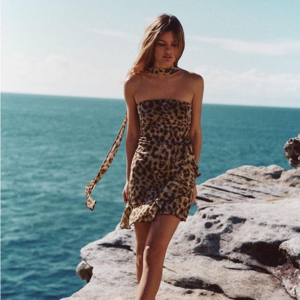 Zara Strapless Animal Print Dress